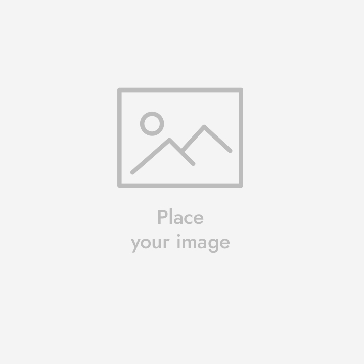 Proin velit metus placerat quis enim